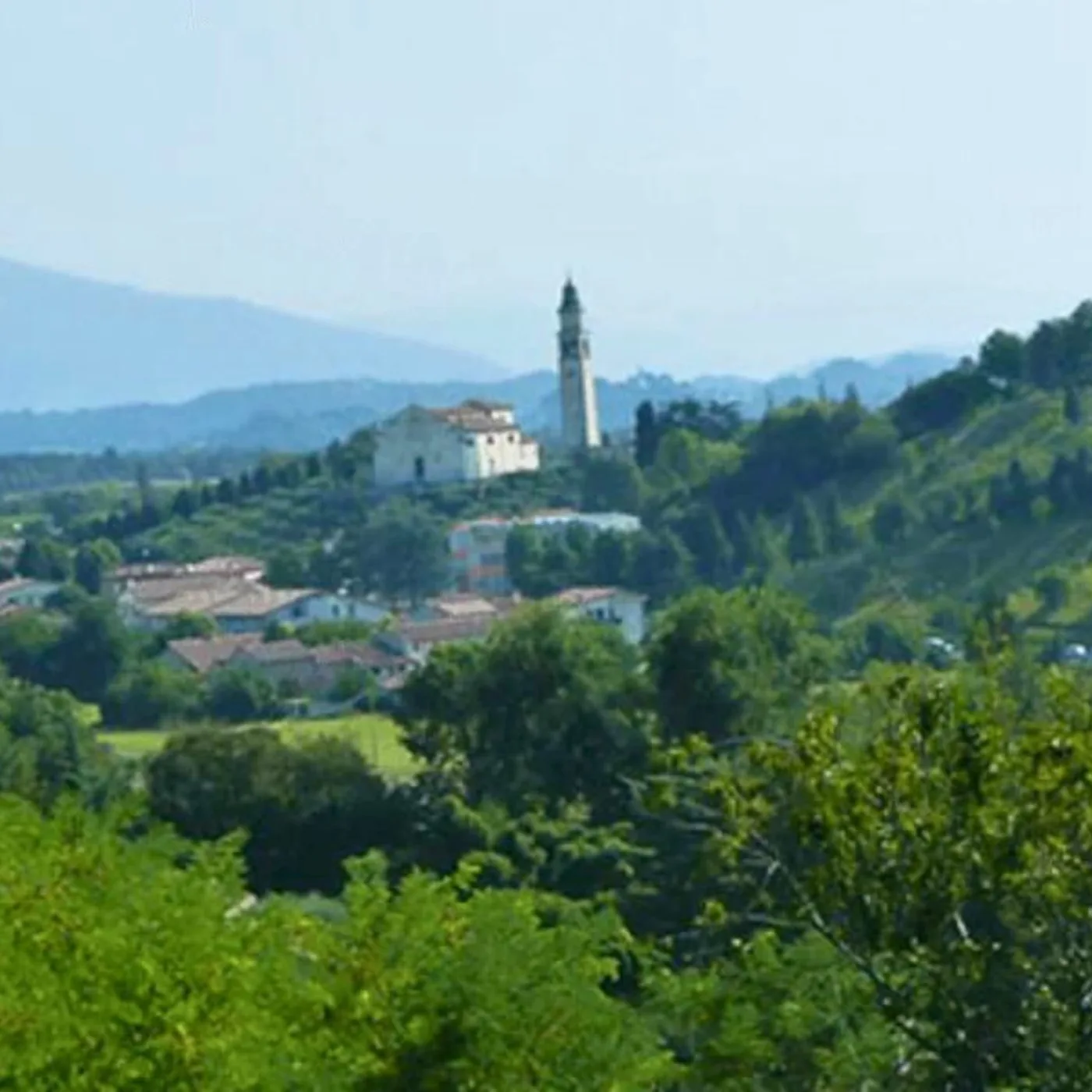 Comune di Fonte