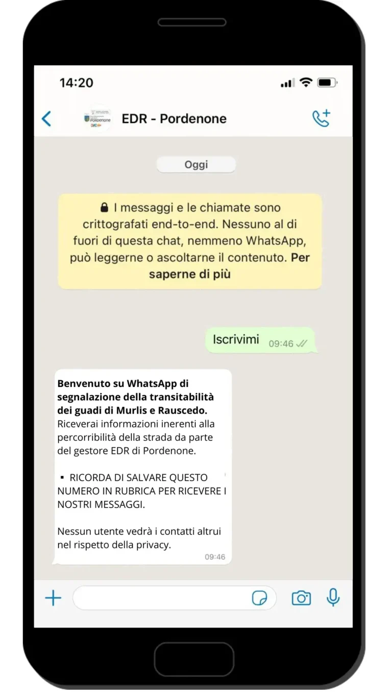 Messaggio WhatsApp di benvenuto al servizio guadi